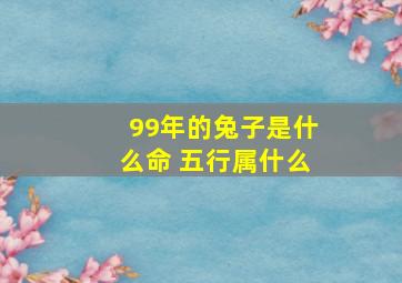 99年的兔子是什么命 五行属什么